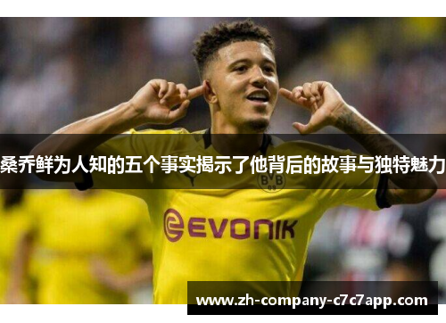 桑乔鲜为人知的五个事实揭示了他背后的故事与独特魅力