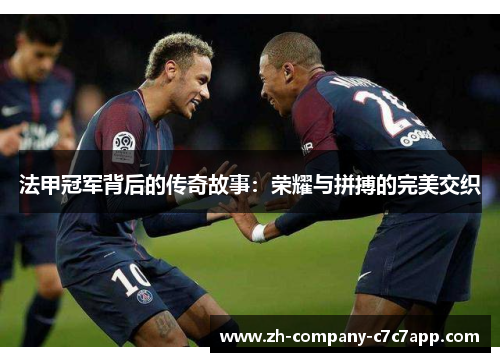 法甲冠军背后的传奇故事:荣耀与拼搏的完美交织 法甲冠军背后的传奇故事:荣耀与拼搏的完美交织