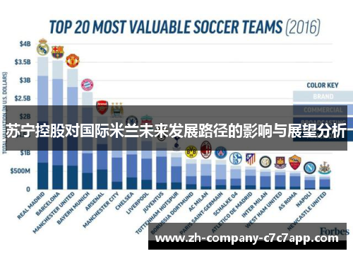 苏宁控股对国际米兰未来发展路径的影响与展望分析