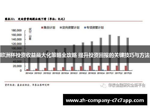 欧洲杯投资收益最大化策略全攻略 提升投资回报的关键技巧与方法